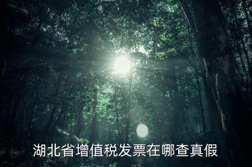 湖北省增值稅發票在哪查真假