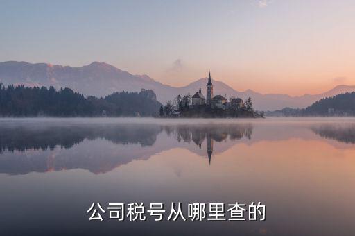 企業稅號如何查詢，公司稅號從哪里查的