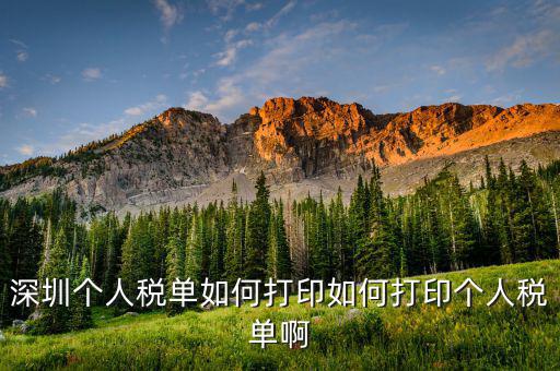 深圳網上如何打印稅單，怎樣在網上打印稅單我是深圳寶安區的