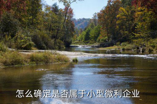 怎么確定是否屬于小型微利企業