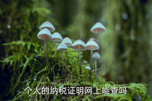 個人的納稅證明網上能查嗎