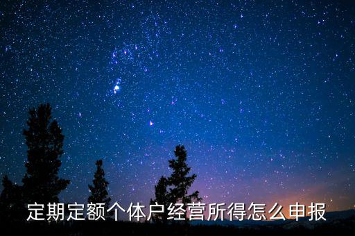 定期定額個體戶經營所得怎么申報