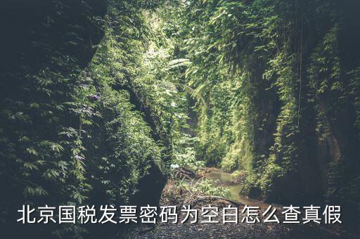 北京國稅發票真偽如何查詢，北京國稅發票密碼為空白怎么查真假