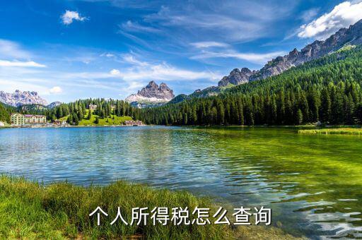 如何查稅，怎么查自己交了多少稅