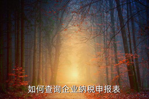 如何查詢(xún)企業(yè)納稅申報(bào)表