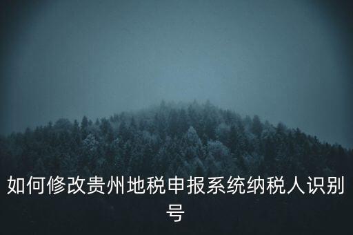 如何修改貴州地稅申報系統納稅人識別號