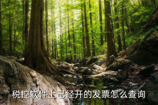 已勾選的發票如何查詢票號，增值稅專用發票可以憑票號在稅局查詢