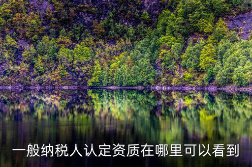 如何查看稅務資質，一般納稅人認定資質在哪里可以看到
