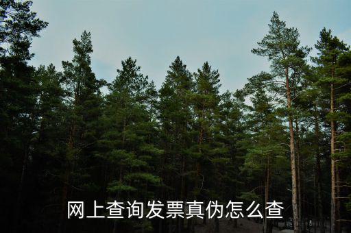 網上查詢發票真偽怎么查