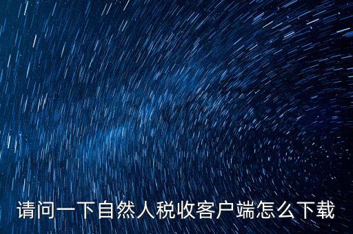 如何登錄網上稅務系統下載，網上辦稅服務廳怎么下載