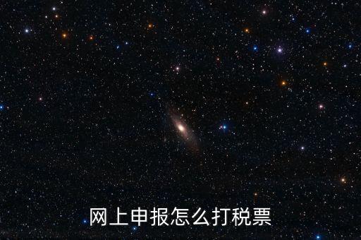 網上申報怎么打稅票