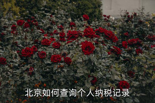 如何查詢北京國稅局納稅人狀態，如何進行北京市A級納稅人信用查詢