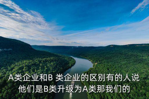 A類企業和B 類企業的區別有的人說他們是B類升級為A類那我們的