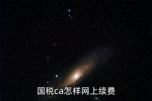 國稅ca怎樣網上續費