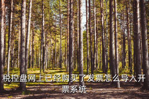 如何進入開票系統，怎么進入國家稅務局發票填開系統