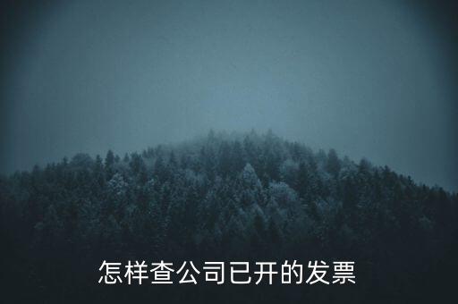 如何查企業的開票資料，如何查詢其他企業開具給本企業的發票