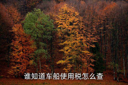 如何查詢自己交車船稅，車船稅交沒交能在網上查詢嗎