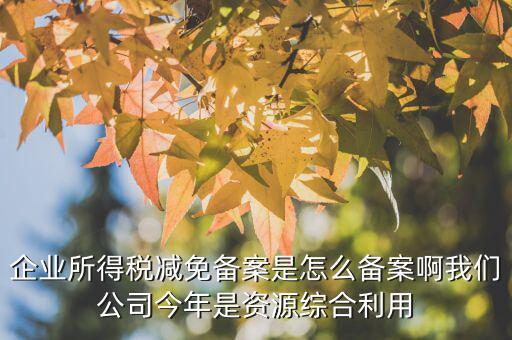 如何打印稅收優惠備案通知書，減免稅備案登記告知書在哪里打印的