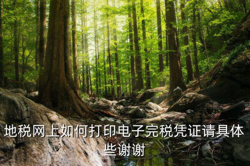 地稅網上如何打印電子完稅憑證請具體些謝謝