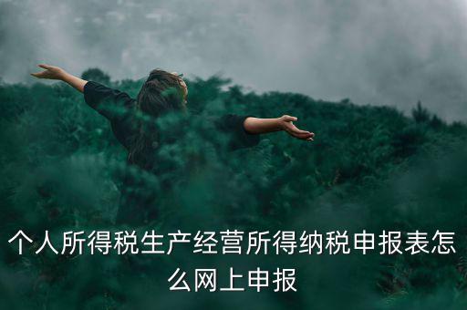 生產經營所得如何網上申報，個體工商戶網上申報怎么做