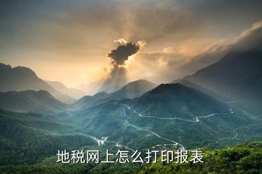 地稅如何網上登記表，怎樣填寫地稅納稅網上申報表我已經交過稅金了在網上申報該怎樣