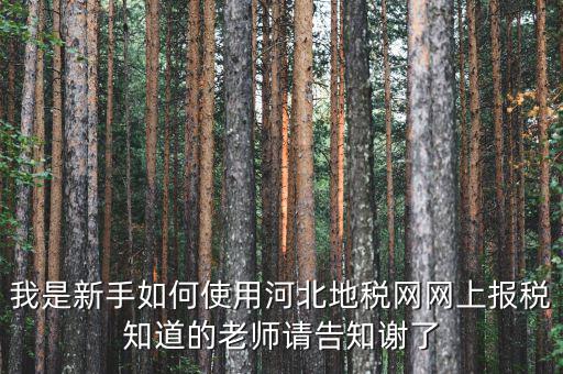 河北省地稅網上申報如何操作，地稅網上申報如何操作