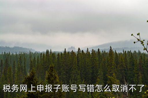 稅務網上申報子賬號寫錯怎么取消不了