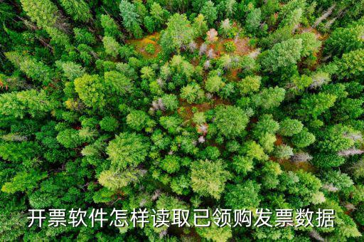 發(fā)票數(shù)據(jù)如何采集，開(kāi)票軟件怎樣讀取已領(lǐng)購(gòu)發(fā)票數(shù)據(jù)