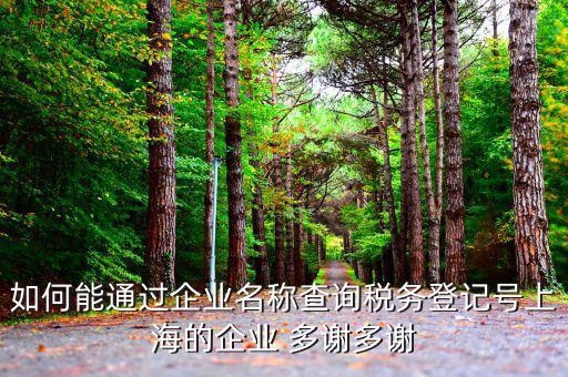 如何查詢稅務登記號碼，如何能通過企業名稱查詢稅務登記號上海的企業 多謝多謝