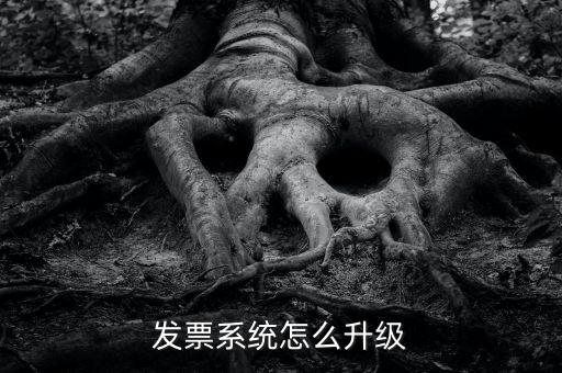 發票系統怎么升級