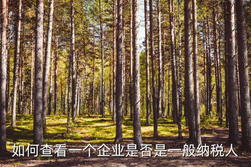 如何查看一個企業是否是一般納稅人