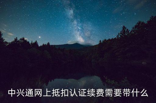 中興通網上抵扣認證續費需要帶什么