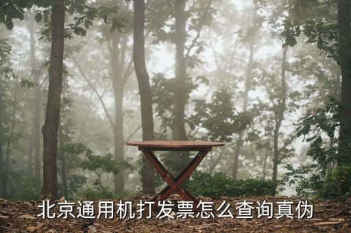 如何查詢北京普通發票真偽查詢，北京增值稅普通發票可以網上查詢真偽嗎
