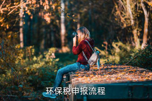 噪聲如何填寫環保稅，環保稅如何申報