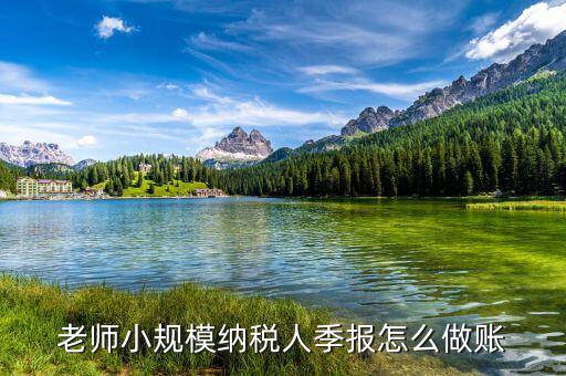 老師小規模納稅人季報怎么做賬