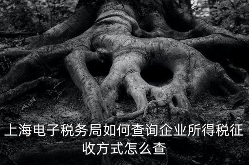 上海電子稅務局如何查詢企業所得稅征收方式怎么查