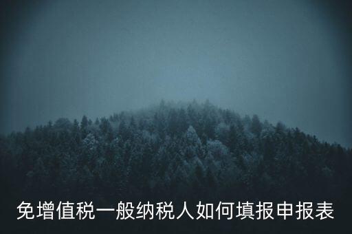 免稅如何填寫申報表，免稅企業如何填報增值稅納稅申報表