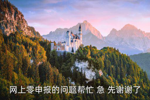 廣東如何網上0申報，網上零申報的問題幫忙 急 先謝謝了