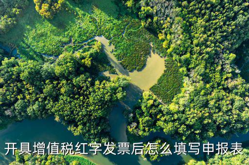 開具增值稅紅字發票后怎么填寫申報表