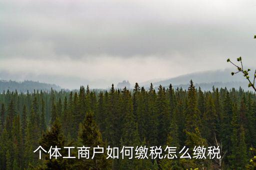 福建企業如何繳稅，企業所得稅是多少