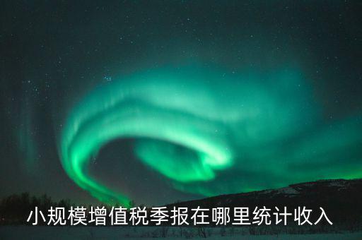 小規模增值稅季報在哪里統計收入