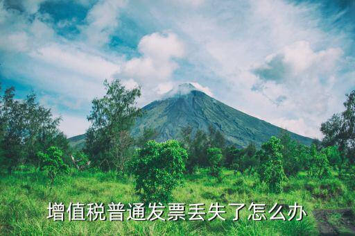 增值稅普通發票丟失了怎么辦