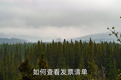 如何查詢發票明細表，如何查看發票清單