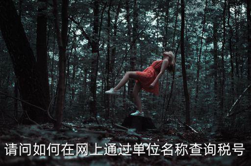 如何通過公司名稱查稅號，知道公司名字怎么查稅號嗎