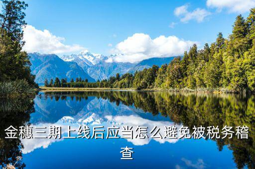 金穗三期如何申報工會費，航天金穗網上申報軟件下哪個