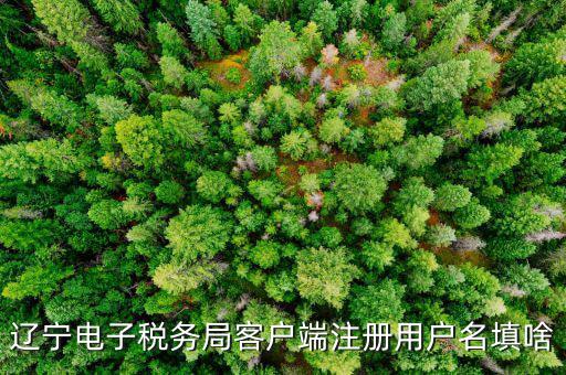 如何注冊社保電子稅務局賬號，遼寧電子稅務局客戶端注冊用戶名填啥
