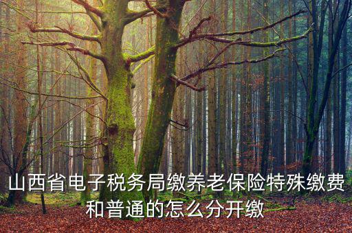 山西養老保險如何和國稅局對接，交養老保險交到國家稅務總局怎么辦