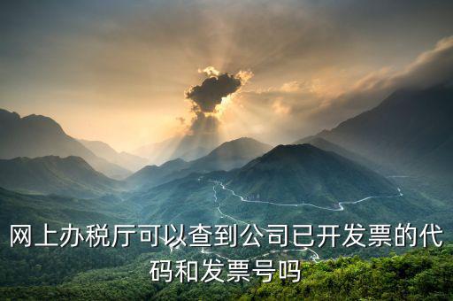 網上辦稅廳可以查到公司已開發票的代碼和發票號嗎