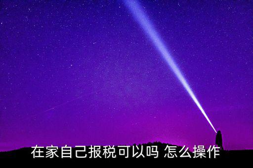 如何自行申報納稅，在家自己報稅可以嗎 怎么操作