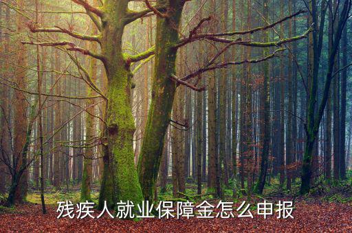 殘疾人就業保障金怎么申報